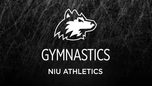 gymnastics graphic